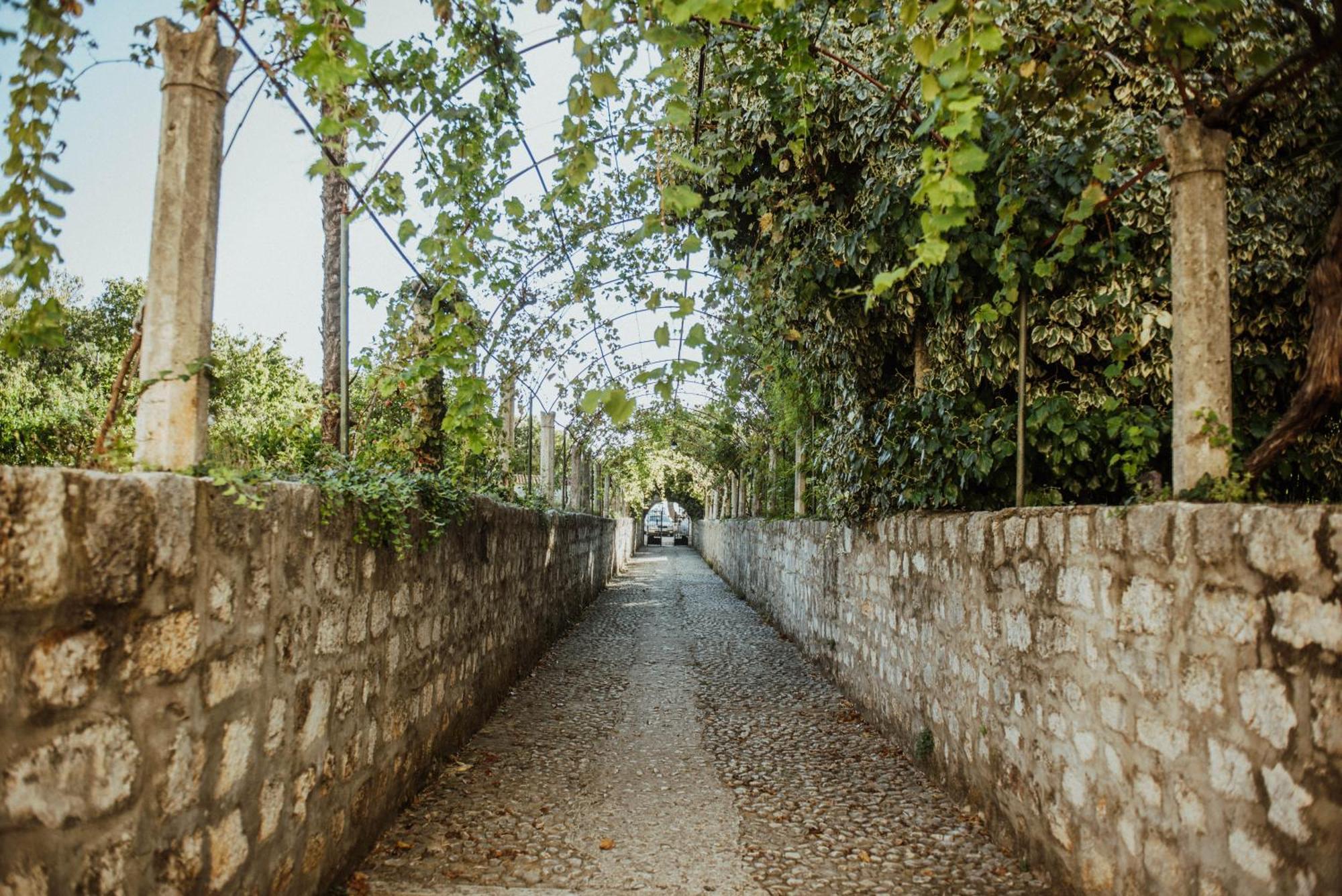 Apartments Martinovic Zaostrog Ngoại thất bức ảnh